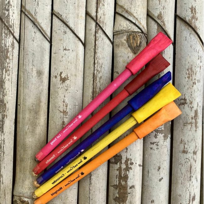 Eco Paper Pens